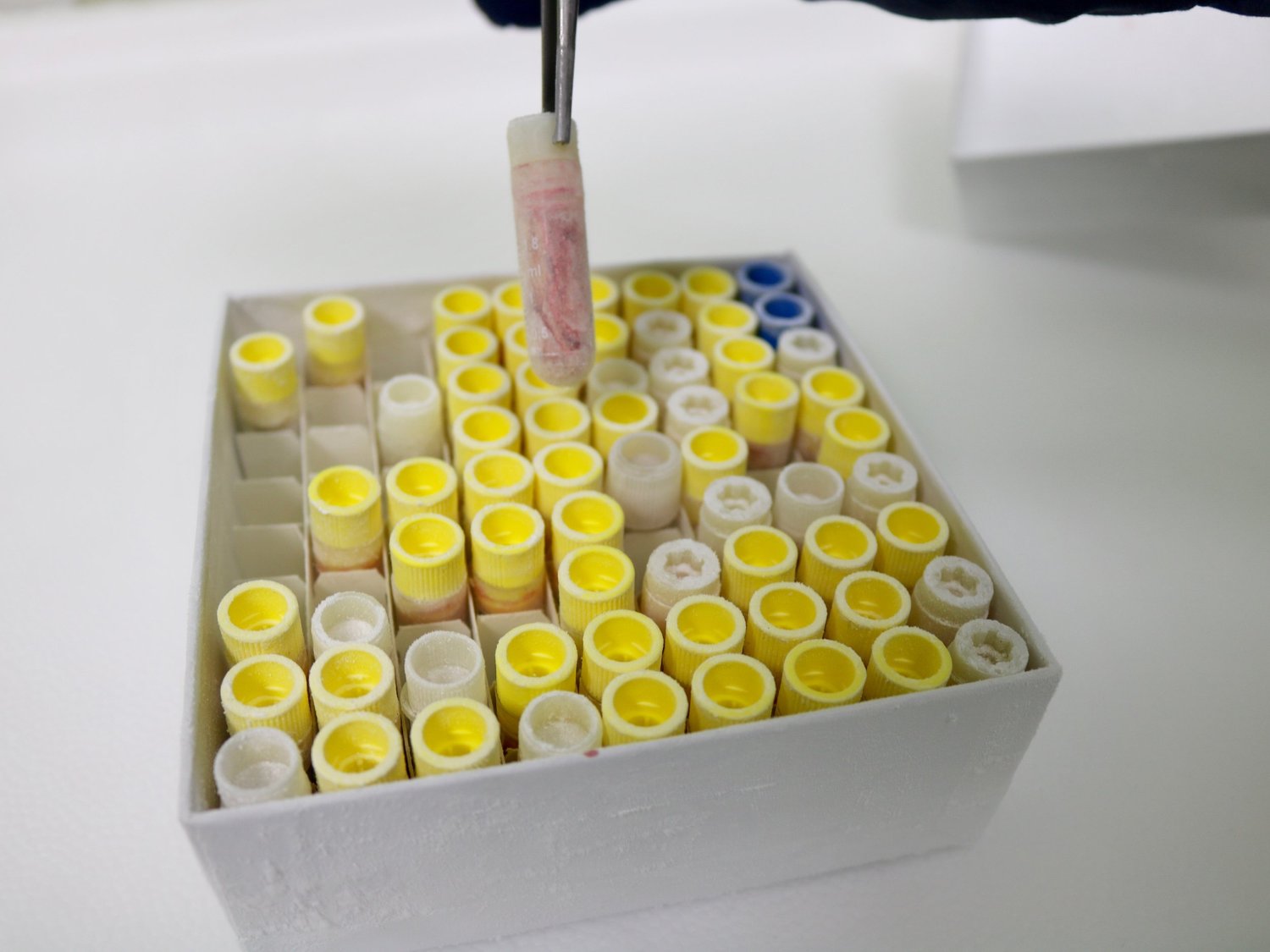 Sample tubes and laboratory rack in the source photograph