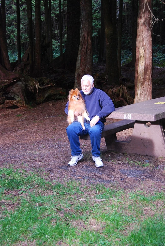 A dog photographed at a campsite